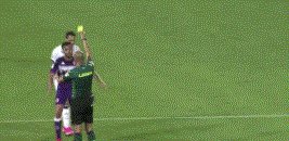 开云下载-【意甲】哲科反超佩剑破门 国米3比1客胜10人紫百合